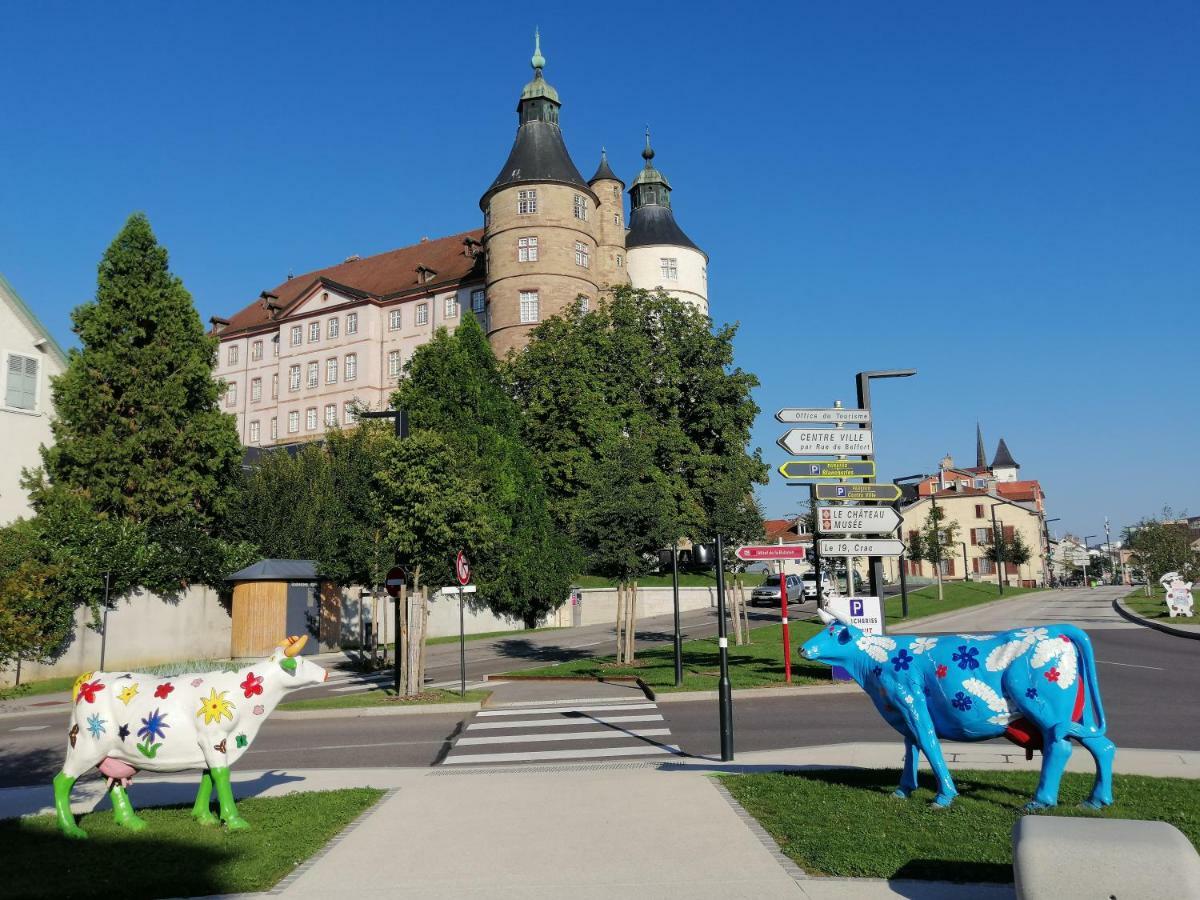 Le Petit Velotte - Un Cocon En Coeur De Ville Appartamento Montbéliard Esterno foto